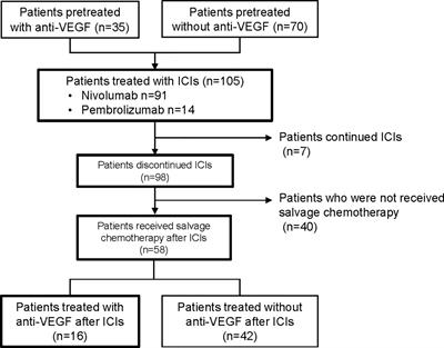 The Impact of VEGF Inhibition on Clinical Outcomes in Patients With Advanced Non-Small Cell Lung Cancer Treated With Immunotherapy: A Retrospective Cohort Study